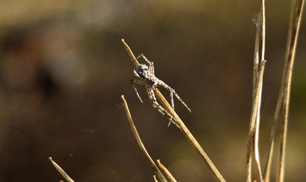 Photograph by Качанов Вадим