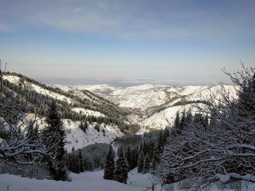 ЕЛИКСАЙ