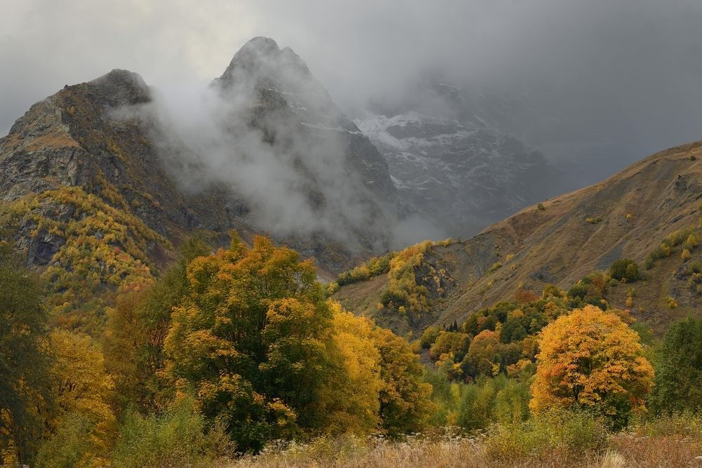 Тебердинский заповедник
