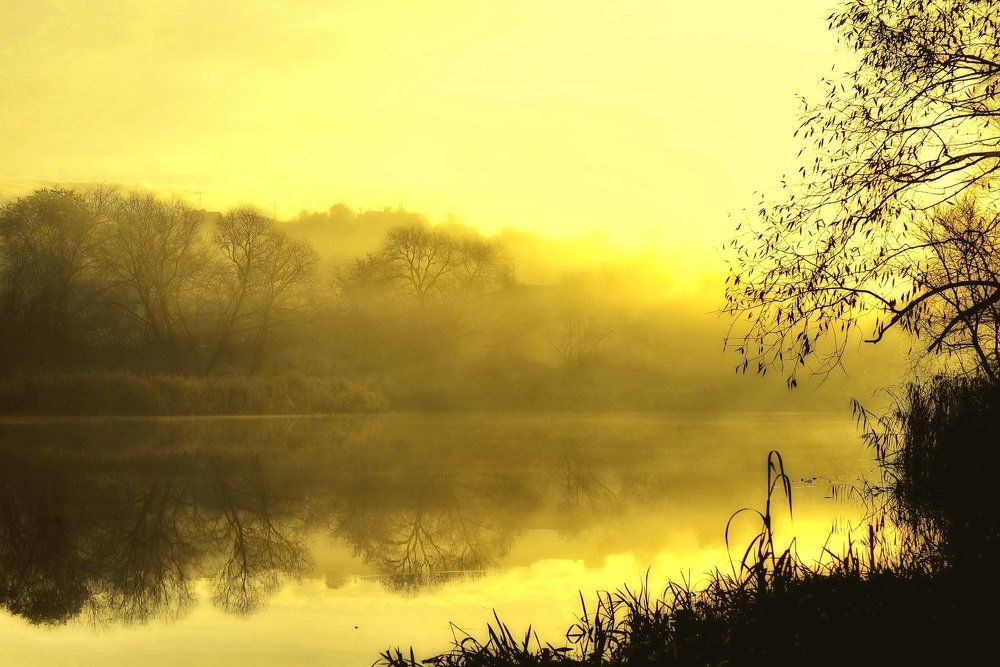 Просыпающееся солнце