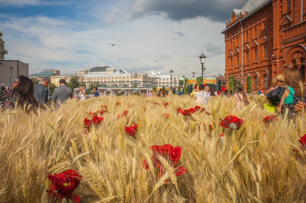 Московское лето