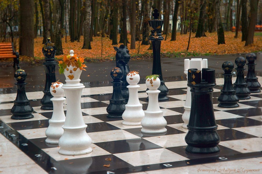 Будьте добры, идите куда шли... У нас тут осенняя... Баталия!