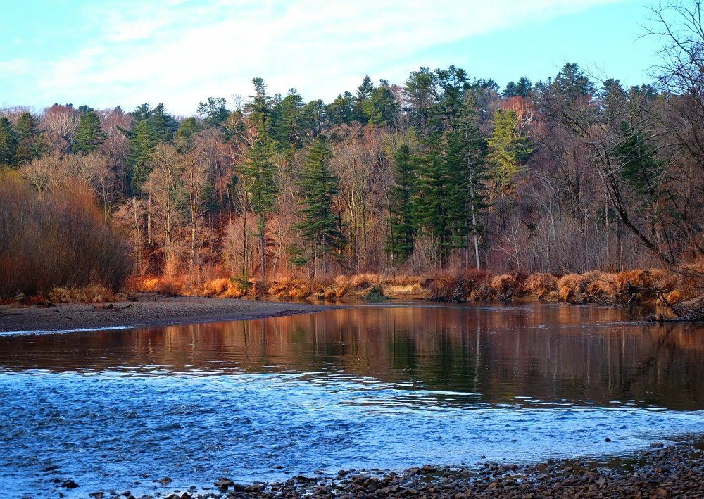 Дальневосточная природа