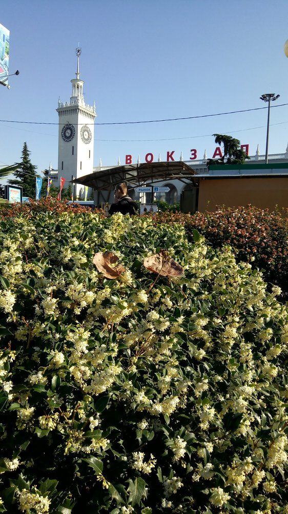 краски осени