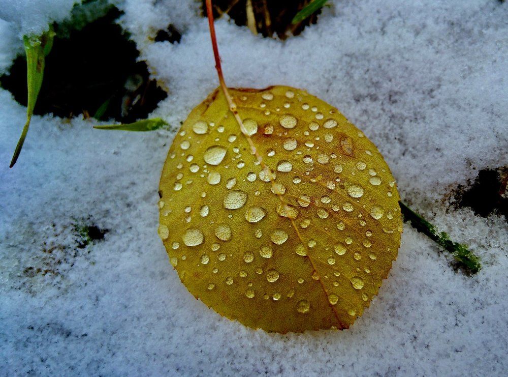 Краски осени.