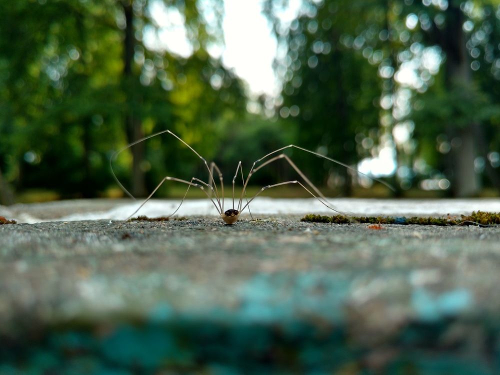 Photograph by Иванникова Даша