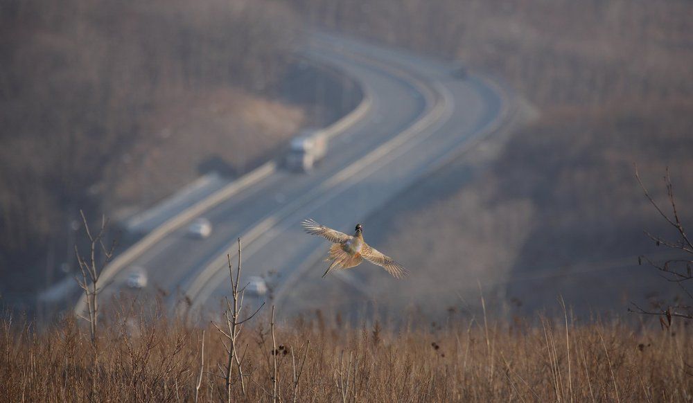 Крутой поворот