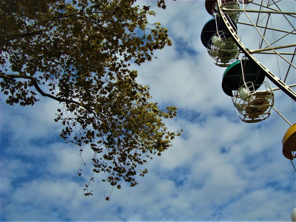 парк развлечений