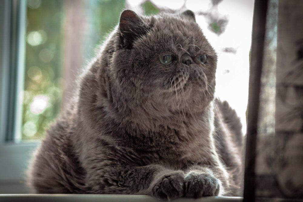 Photograph by Александр Щербаков