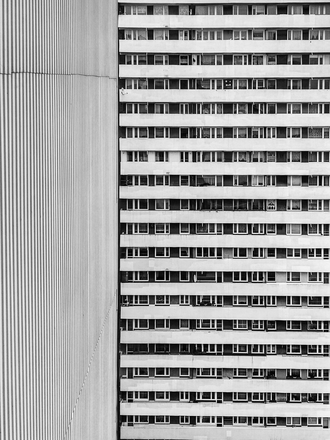 lines