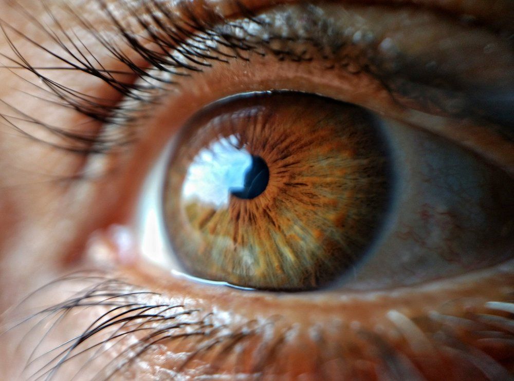 Natural lenses