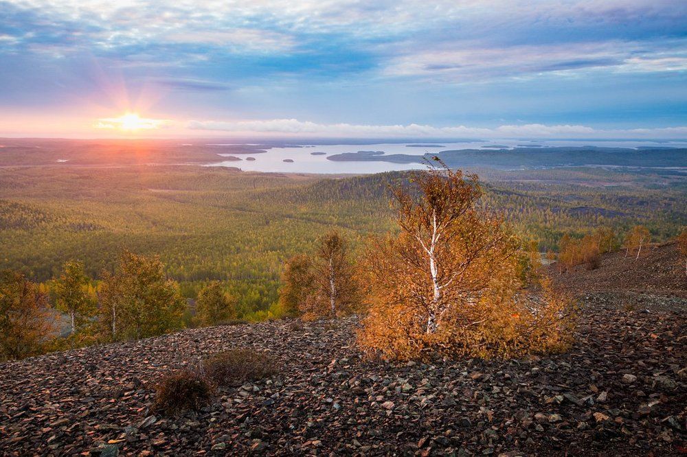 Розовые сны Карабаша