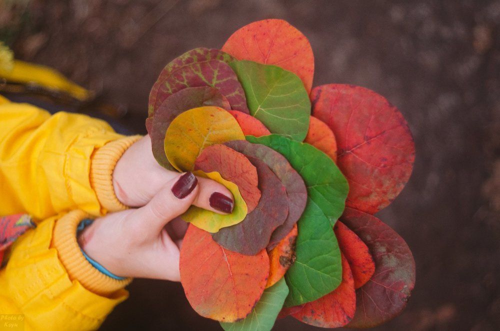 На любой цвет)