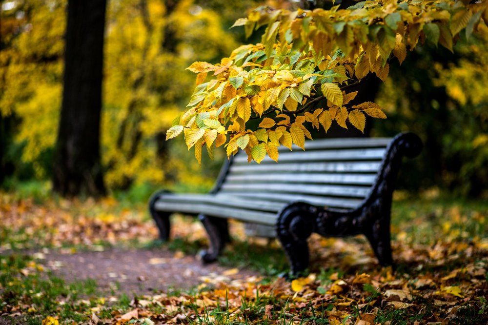 Photograph by Лыбо Ирина