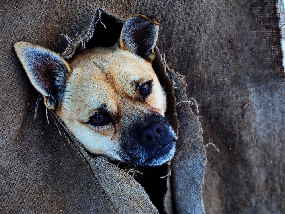 Согрей меня