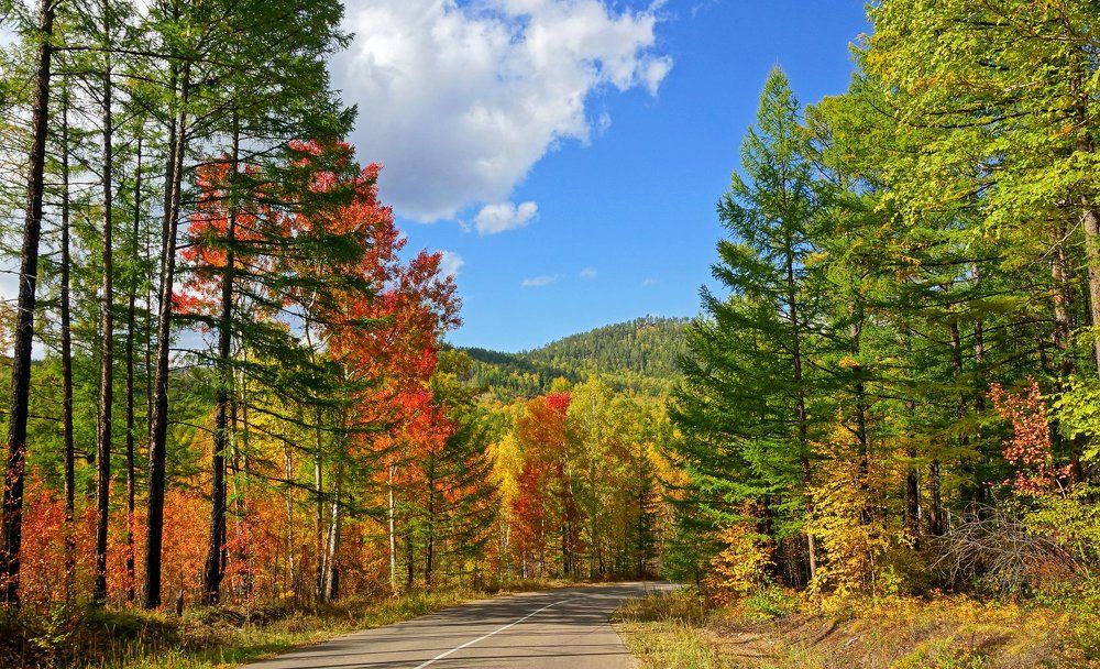 Краски осени