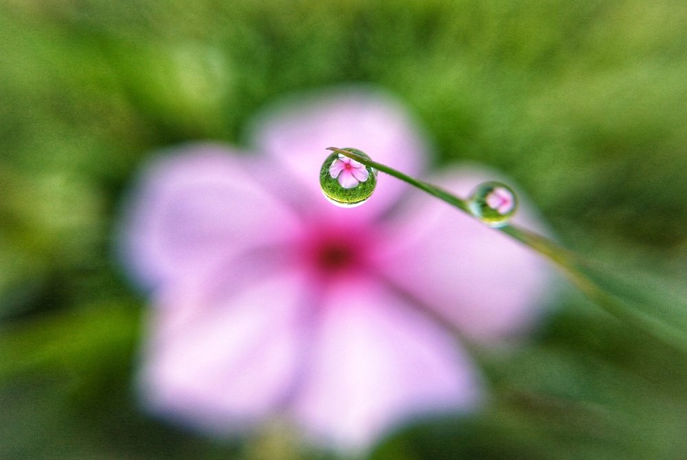 Nature tells everything