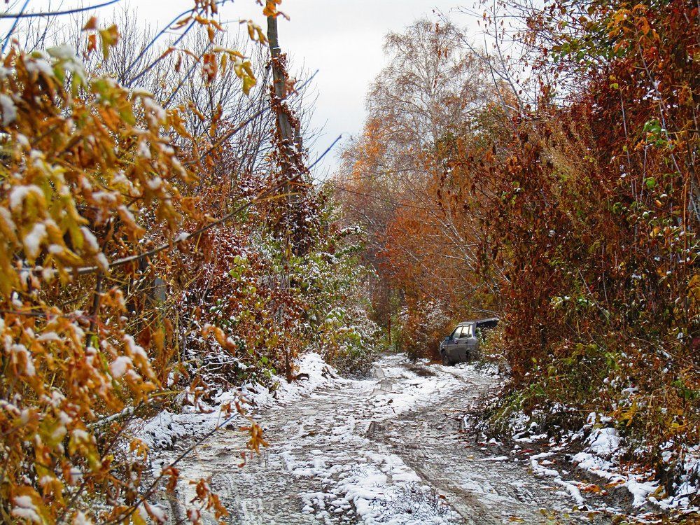 Первый снег