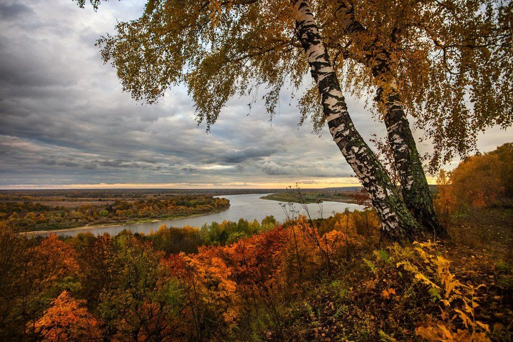 Photograph by Дмитрий Сдобин