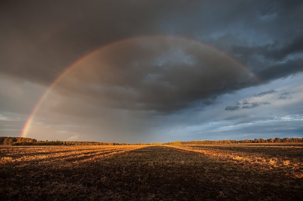 Photograph by Дмитрий Сдобин