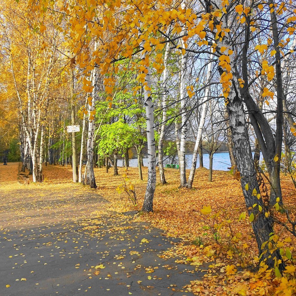 Краски осени и в городе...