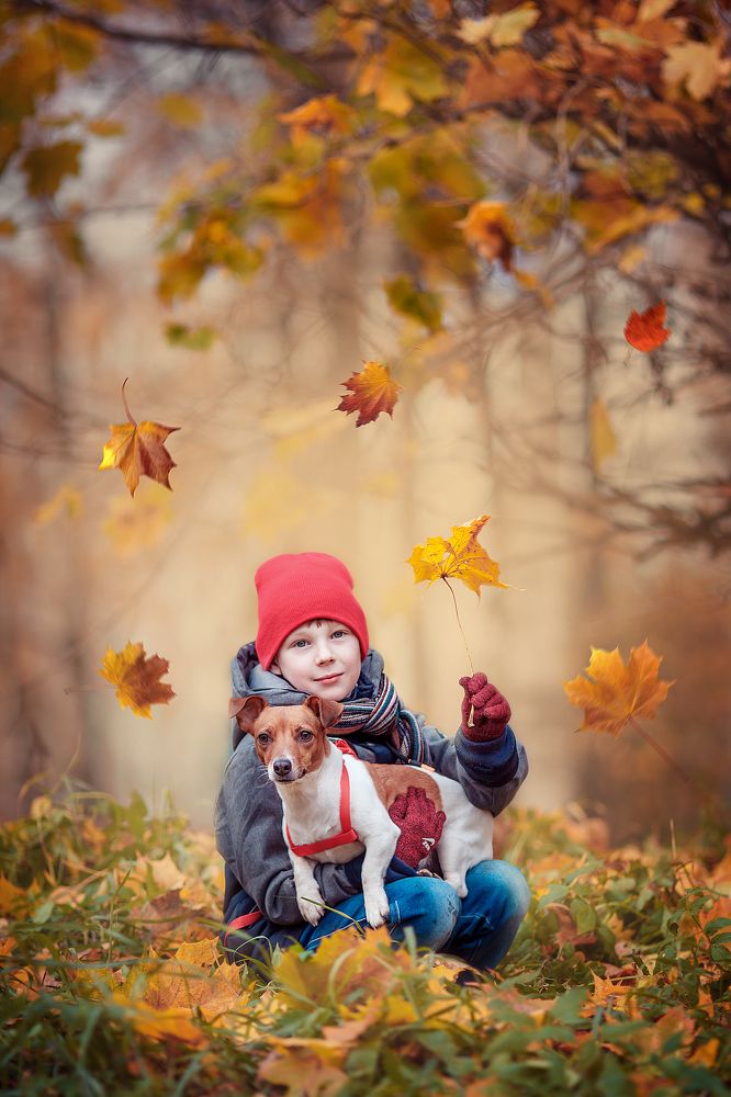 Краски осени