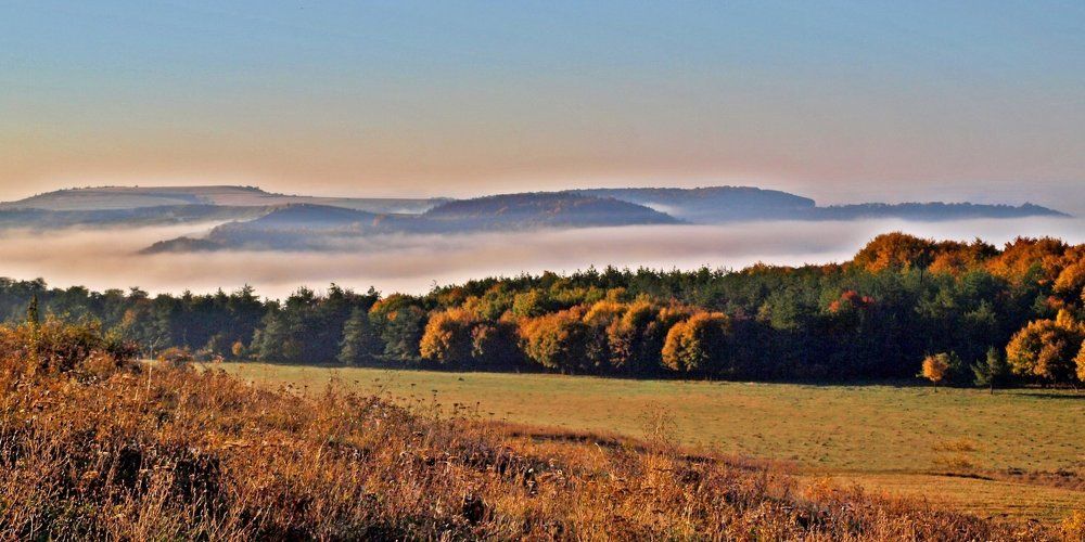 Photograph by Vitel Ștefan