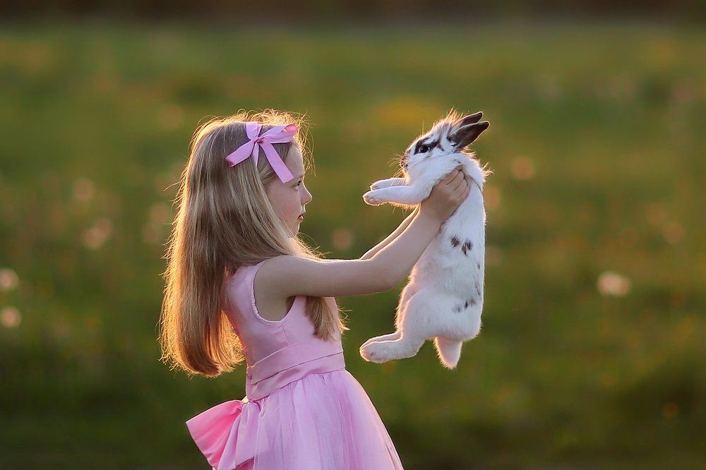 Алиса в Стране чудес