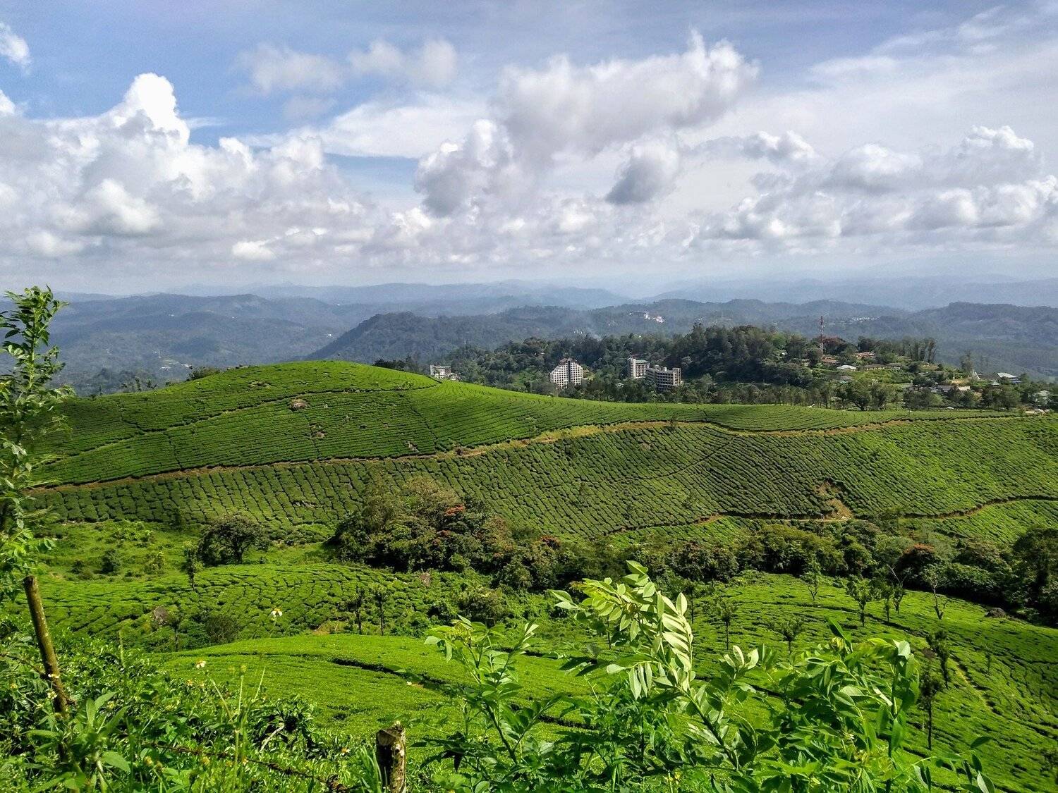 Landscape