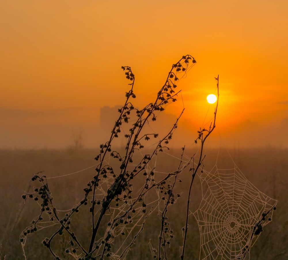 Солнце вырвалось  из плена
