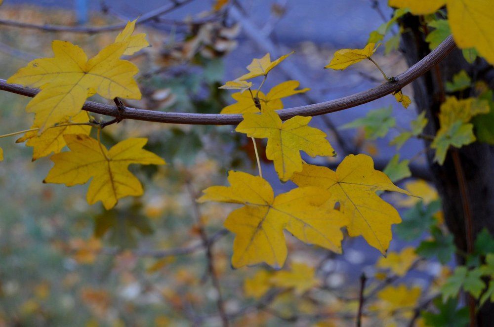 Фотография автора тимакова  нина