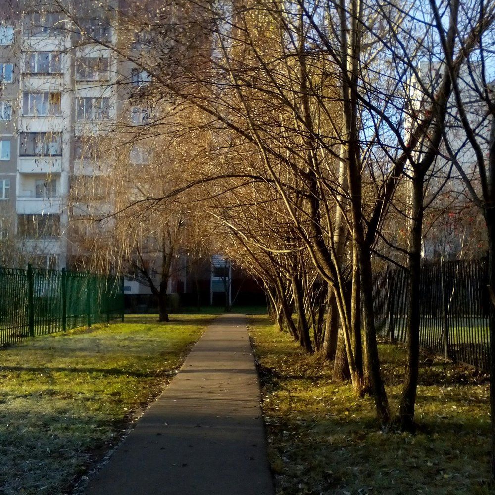 Морозное утро