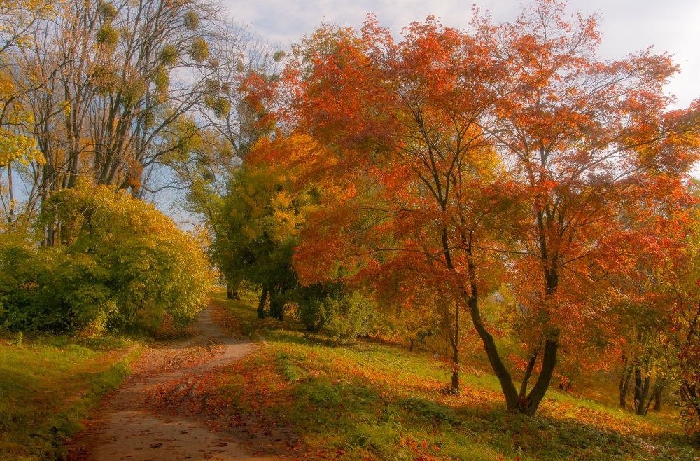 Еще не все предрешено...