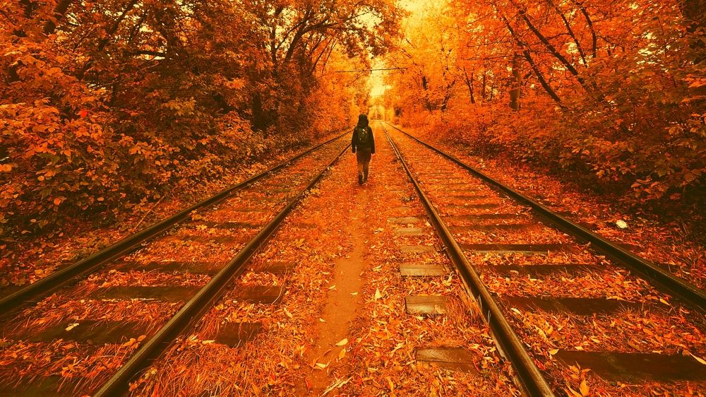 Фотография автора Александр Петаев