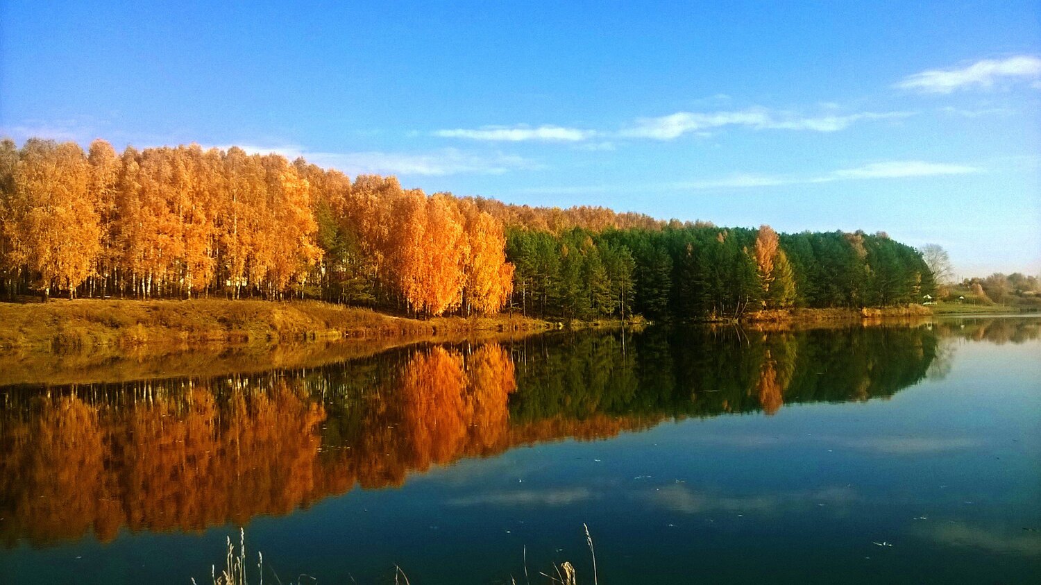 краскиосени