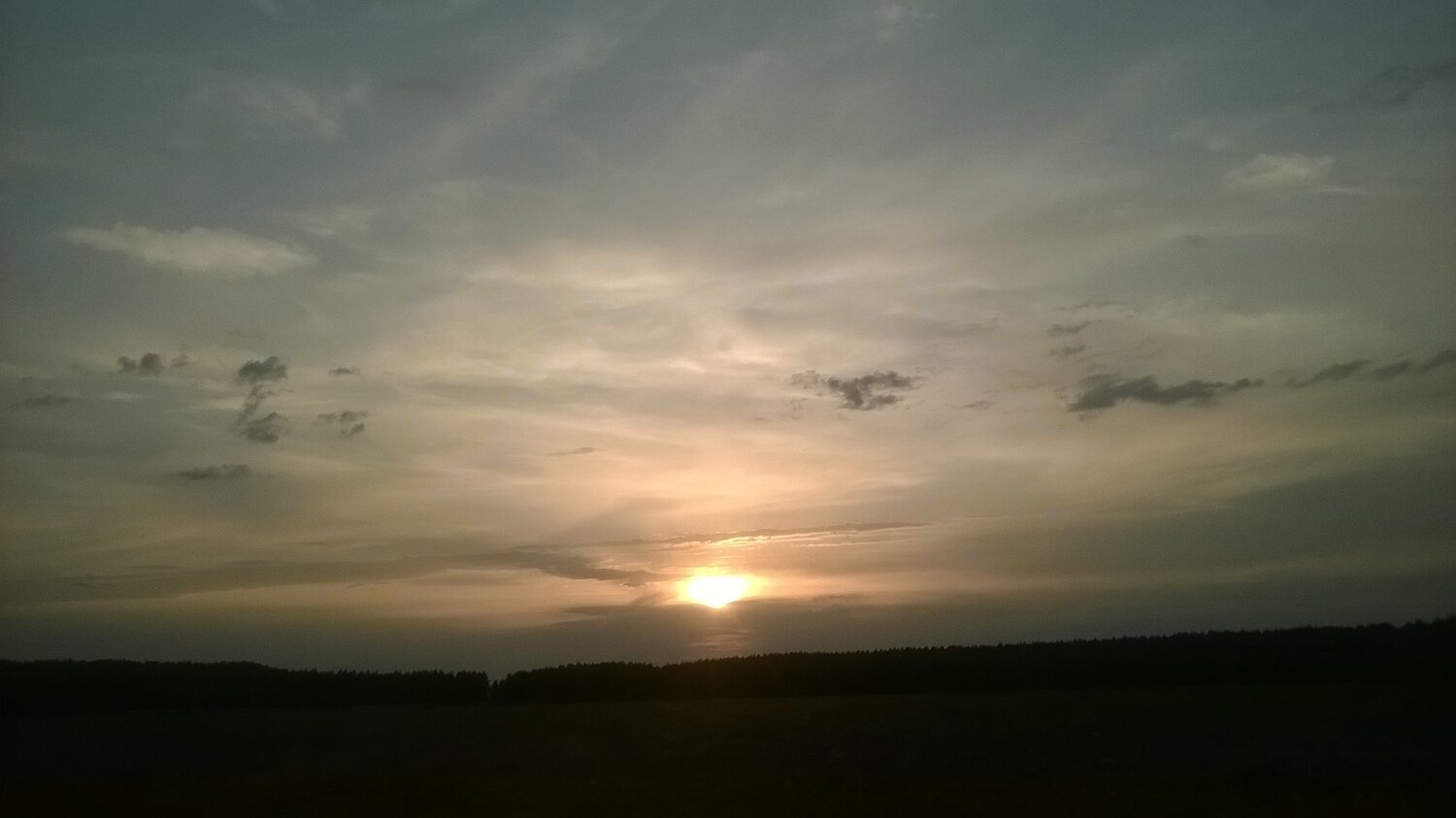 Photo #2033043