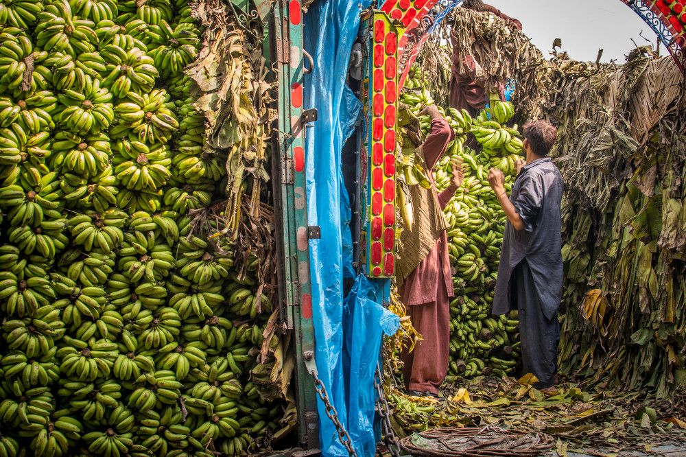 Unloading Bananas ........