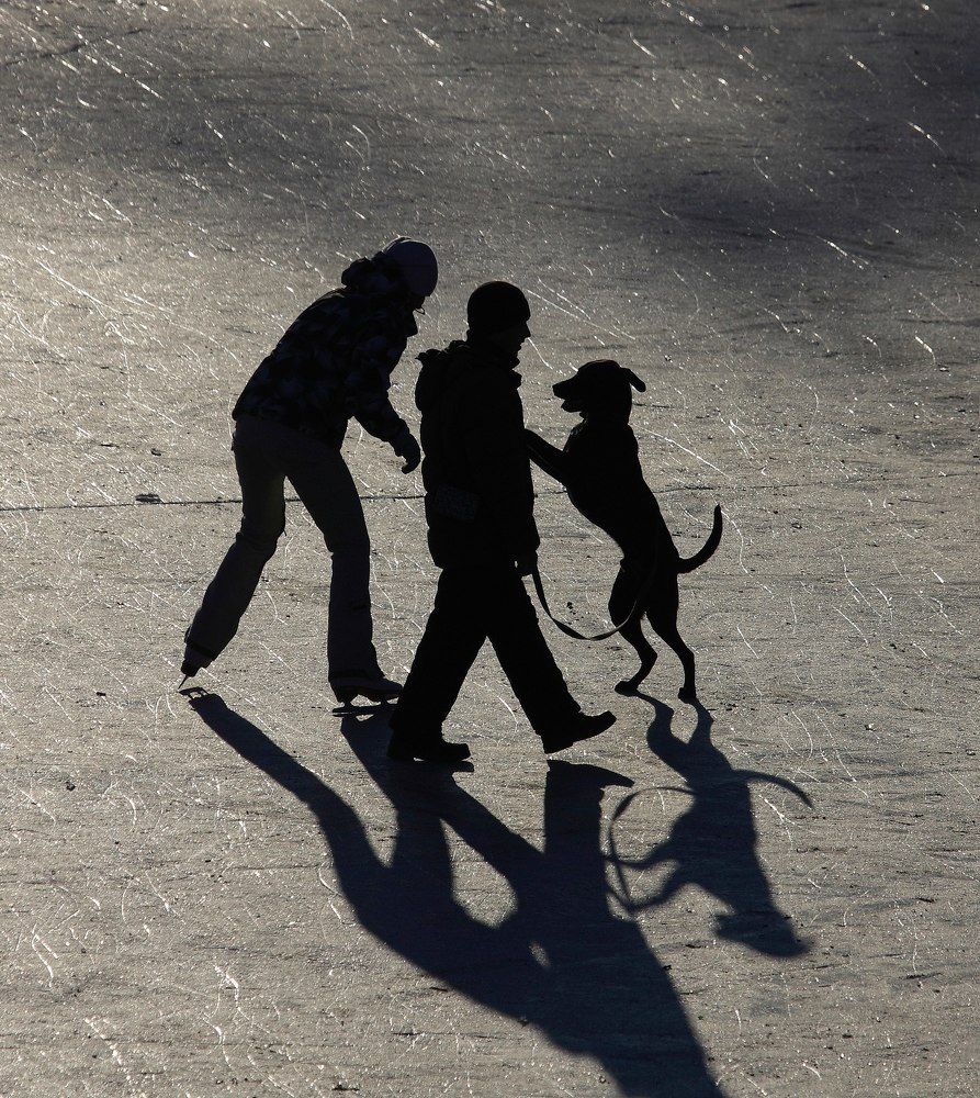 Право голоса