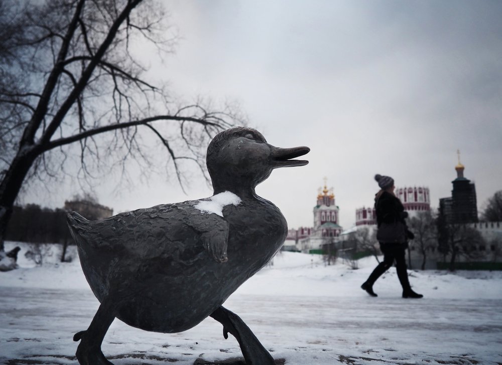 Утки наступают