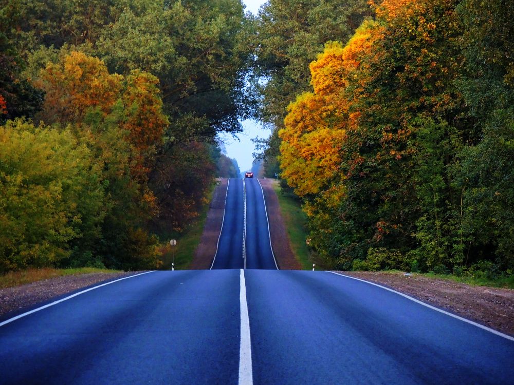 Осенняя дорога