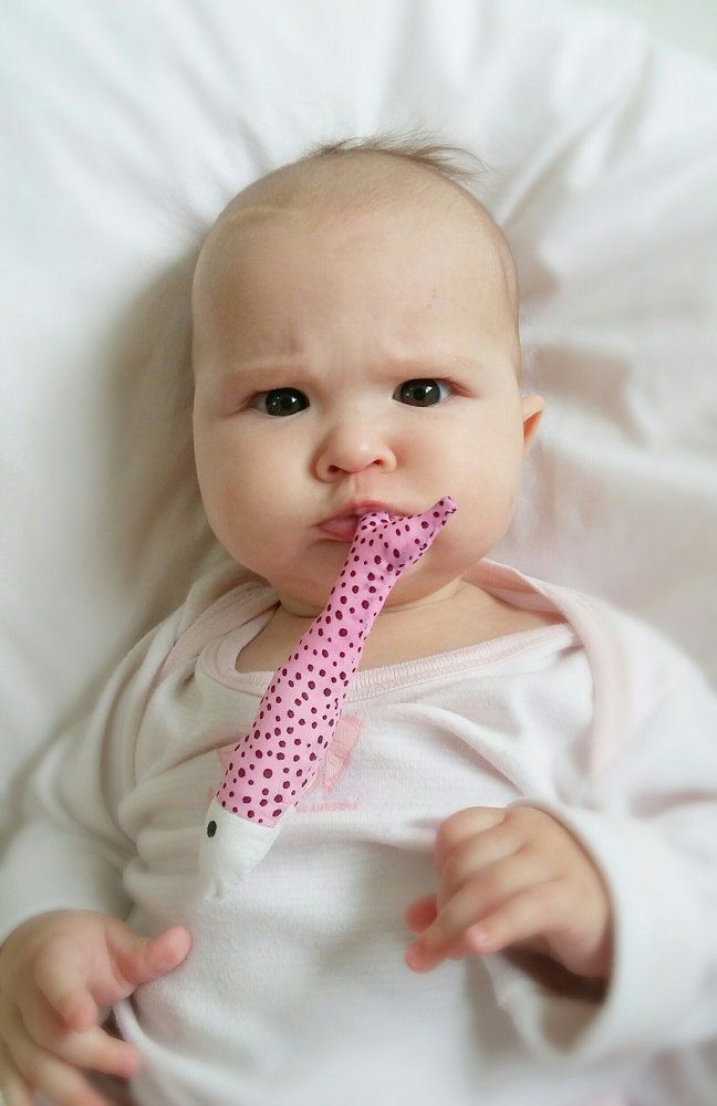 Photo #2033262