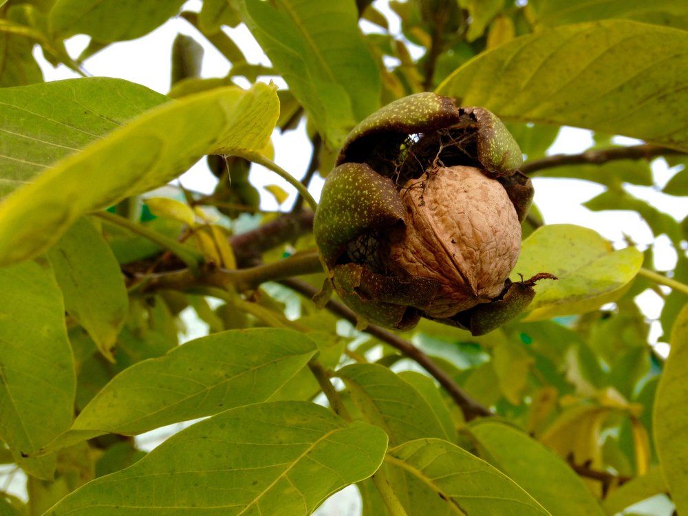 Еще чуть-чуть