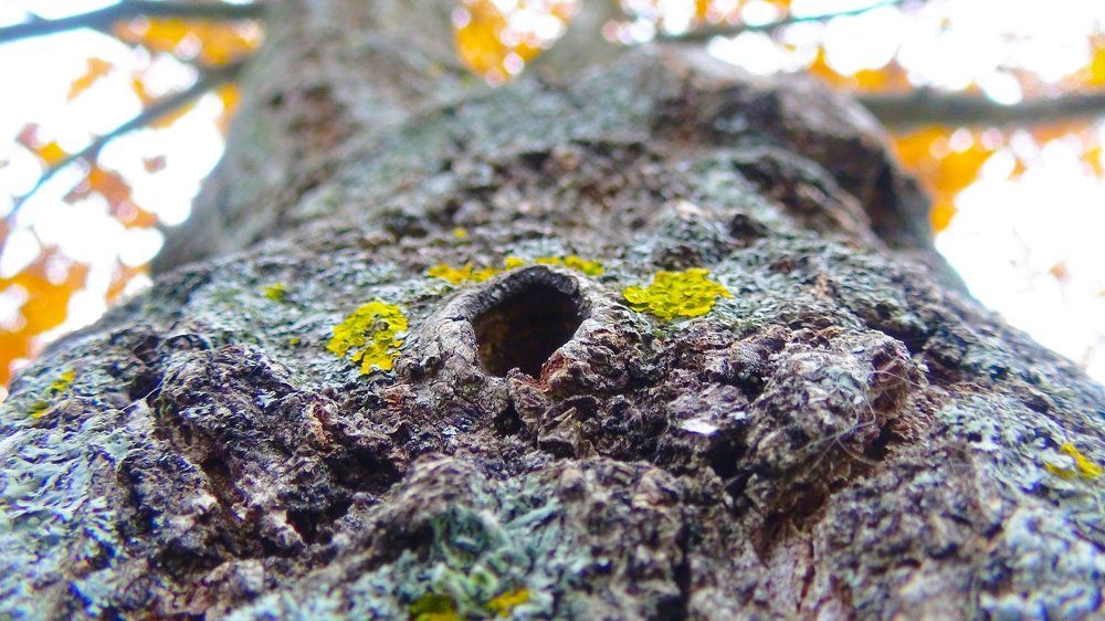 Photograph by Игнат Крошко