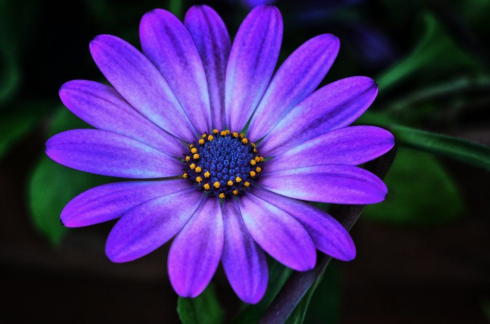 Photograph by Алексей Фомичев