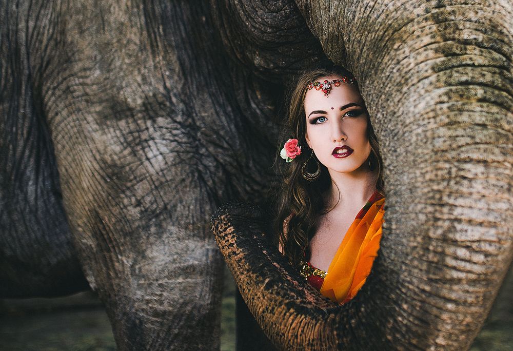 Большой друг