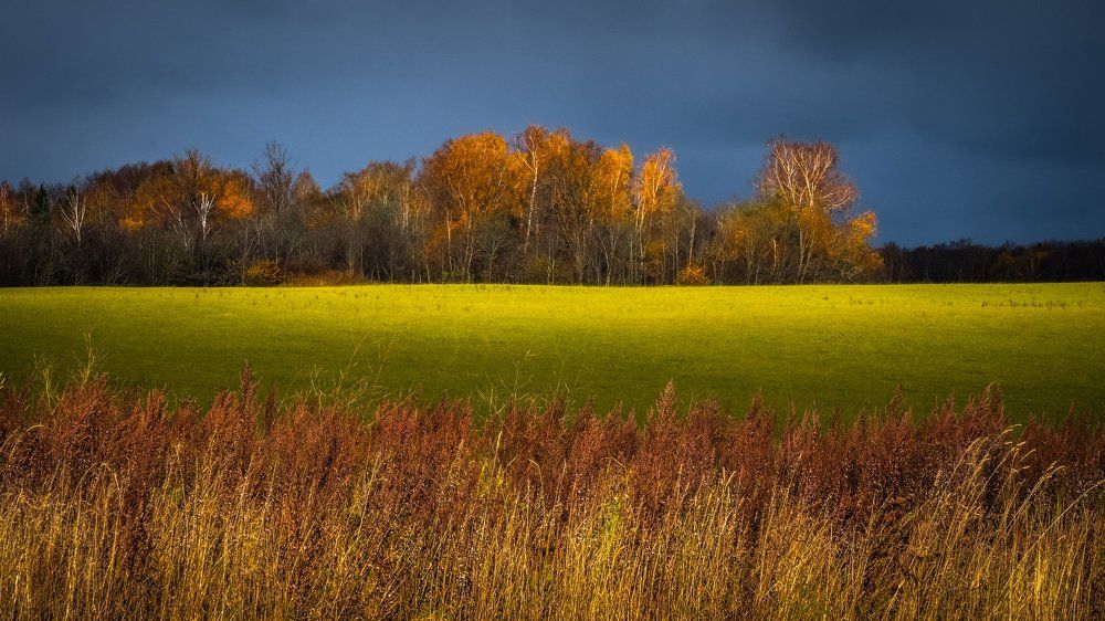 Золотая осень