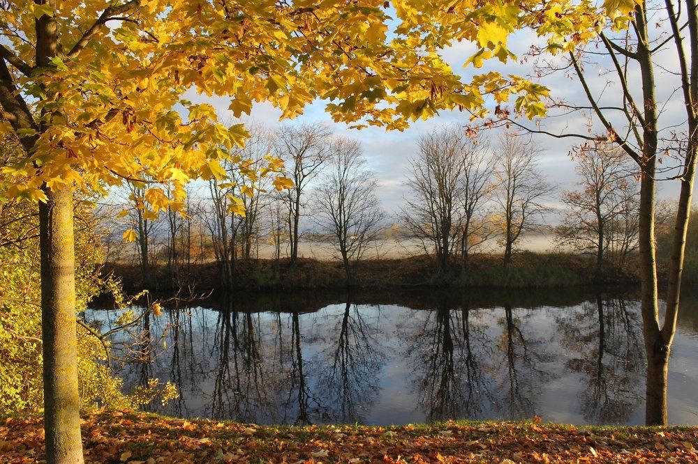 Золотое обрамление осени...