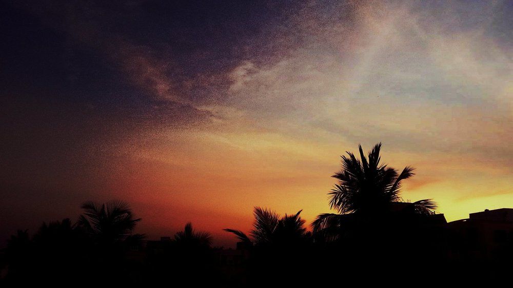 Sunset