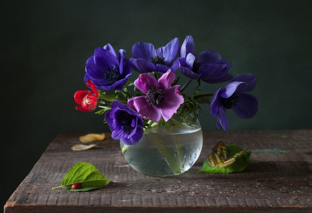 Photograph by Елена Мустафина