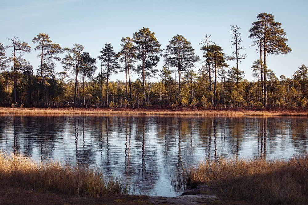 Photograph by Евгений Рыжиков